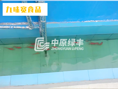 九味寬200m3/d方便面生產廢水處理工程